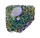 key visualization for S. pombe cells from Volta Phase Plate