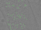 key visualization for TS_01