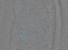 key visualization for TS_09