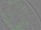 key visualization for TS_12