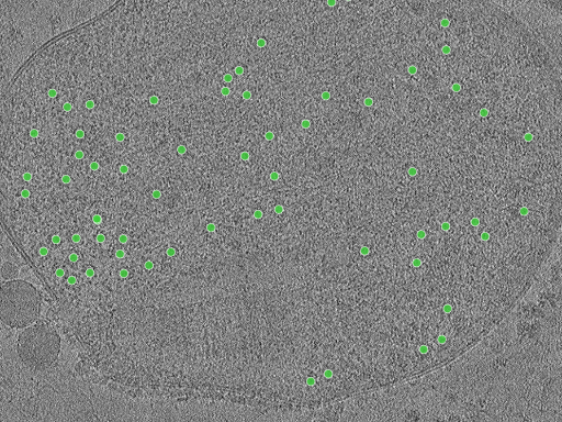 key visualization for TS_13