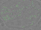 key visualization for TS_13