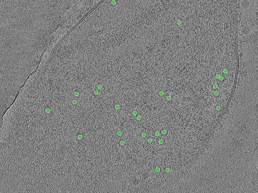 key visualization for TS_14