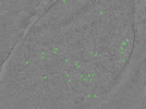 key visualization for TS_14