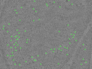 key visualization for TS_15