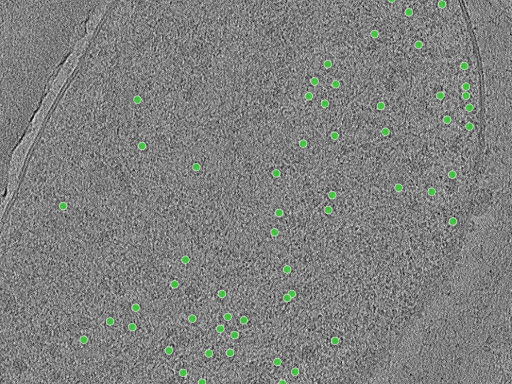 key visualization for TS_16
