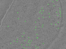 key visualization for TS_16
