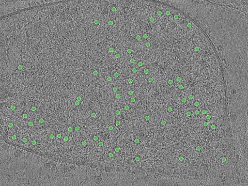 key visualization for TS_17