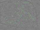 key visualization for TS_17