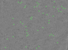 key visualization for TS_18