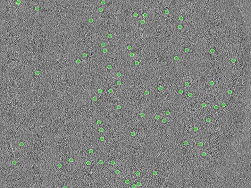 key visualization for TS_19
