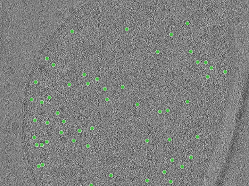 key visualization for TS_20