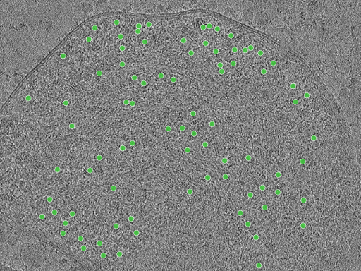 key visualization for TS_34