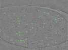 key visualization for TS_67