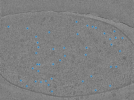 key visualization for TS_67