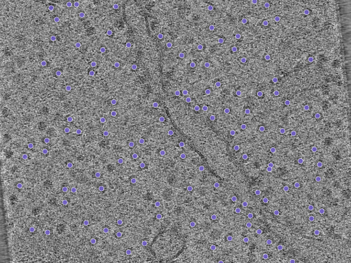 key visualization for Position_525