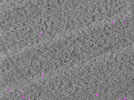 key visualization for ay08102021_grid_1_atc_lamella1_pos10