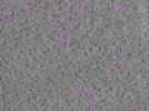 key visualization for ay08102021_grid_1_atc_lamella1_pos13