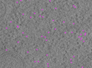 key visualization for ay08102021_grid_1_atc_lamella1_pos14