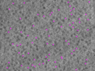 key visualization for ay08102021_grid_2_lamella5_pos11