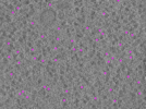 key visualization for ay19102021_grid_2_atc_lamella2_position1