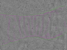 key visualization for TE13