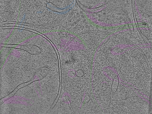 key visualization for TF6