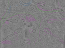 key visualization for TF6