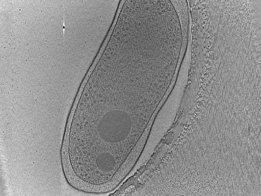 key visualization for dga2017-02-02-29