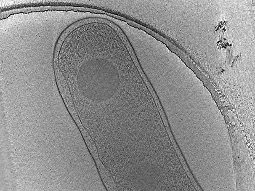 key visualization for dga2017-02-02-31