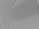 key visualization for dga2016-04-02-111