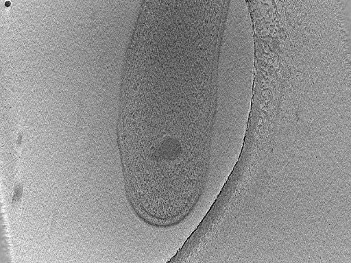 key visualization for dga2016-03-31-45