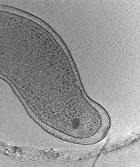 key-visualization-for-campy-cjj0413