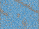 key visualization for 27042022_BrnoKrios_Arctis_grid9_hGIS_Position_7