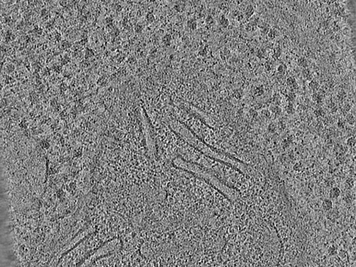 key visualization for 14042022_BrnoKrios_Arctis_grid5_Position_9