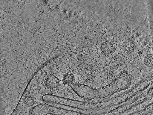 key visualization for 17072022_BrnoKrios_Arctis_p3ar_grid_Position_16