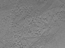key visualization for tomo_c2c1_22