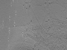 key visualization for tomo_c2c1_33