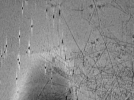 key visualization for tomo_c2c1_33