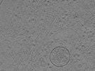 key visualization for tomo_c2c1_34