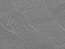 key visualization for tomo_c2c1_54