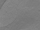 key visualization for tomo_c2c1_58