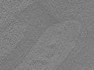 key visualization for tomo_c2c1_66