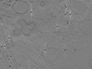 key visualization for AQB1tomo002