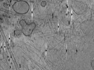key visualization for AQB1tomo002