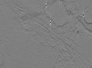 key visualization for AQB1tomo003
