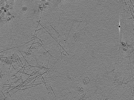 key visualization for AQB1tomo005