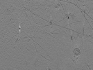 key visualization for AQB1tomo015
