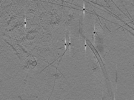 key visualization for AQB1tomo016