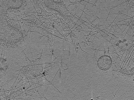 key visualization for AQB1tomo021